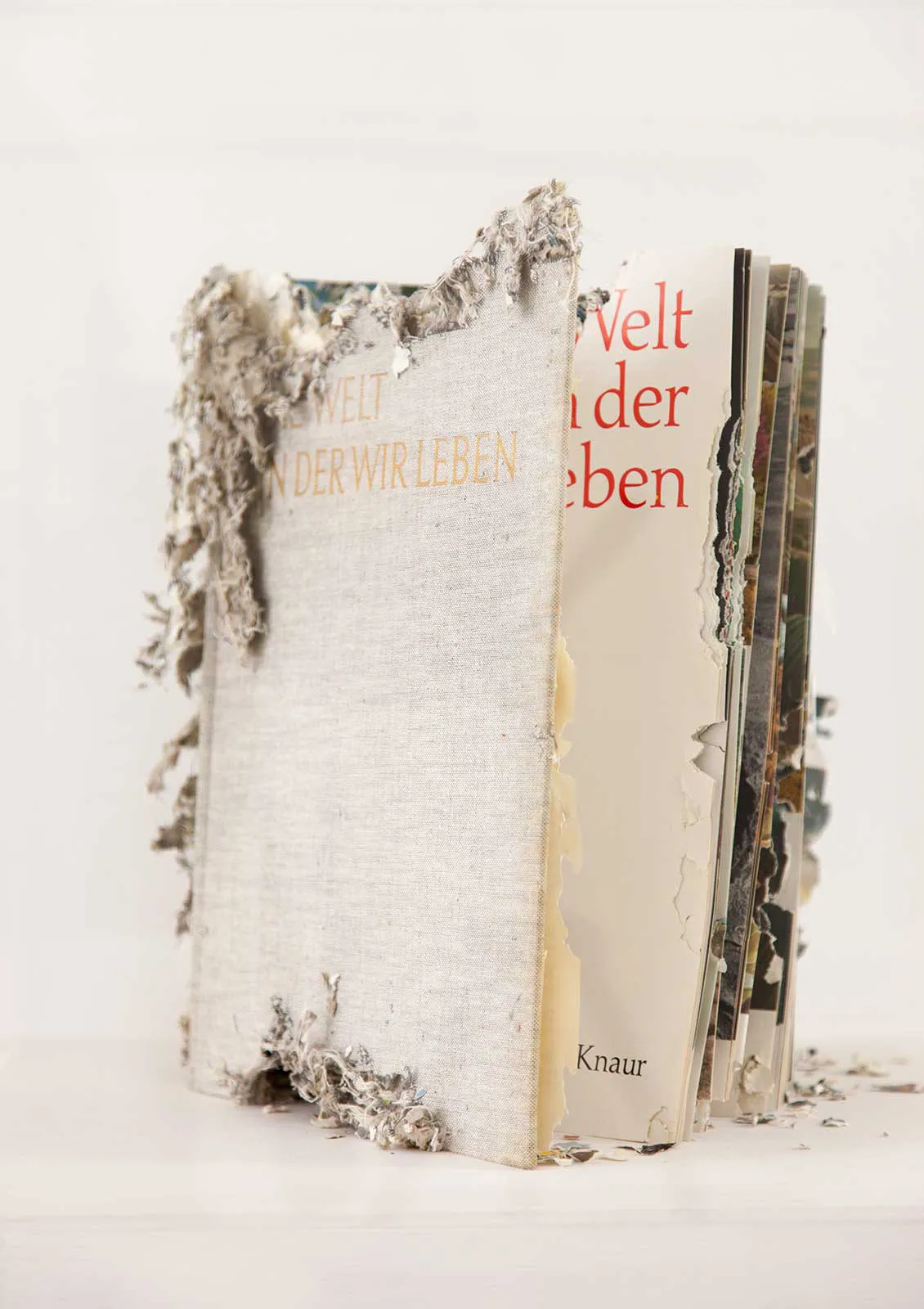 CMUK: Die Welt in der wir leben, 2016 Buchobjekt, Vitrine. © Hörner/Antlfinger